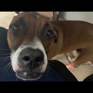 Meet your Posher, Clare